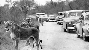 Kruger park in the early days